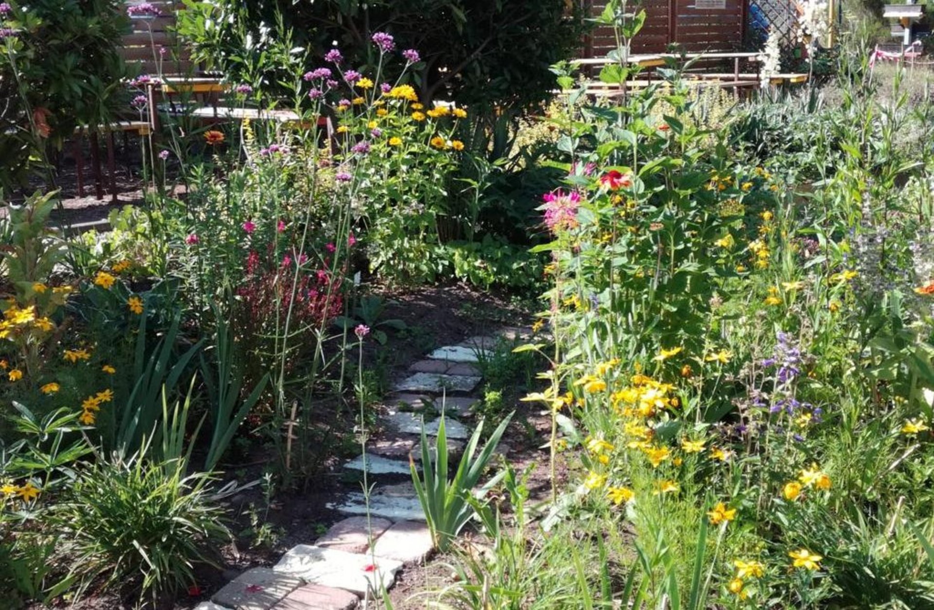 d87e7dbf-e708-4824-b12a-cfb64d74dc22